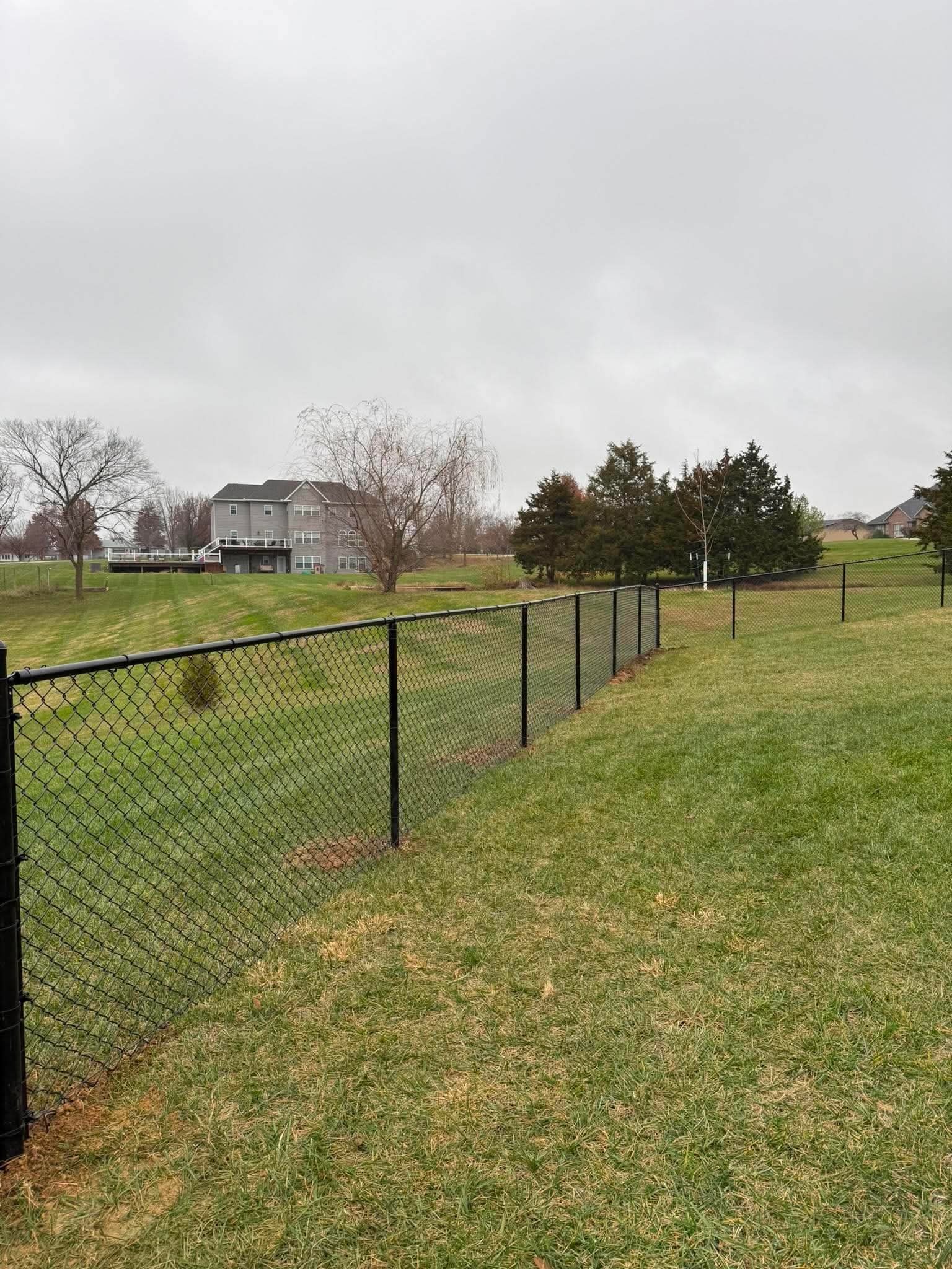 Black chain-link fence along a rural backyard